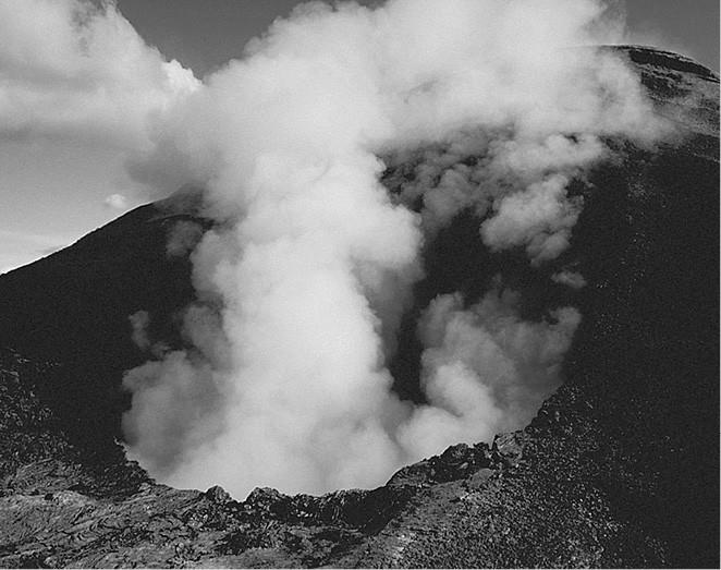 Иллюстрация к книге — 100 великих загадок природы [i_003.jpg]