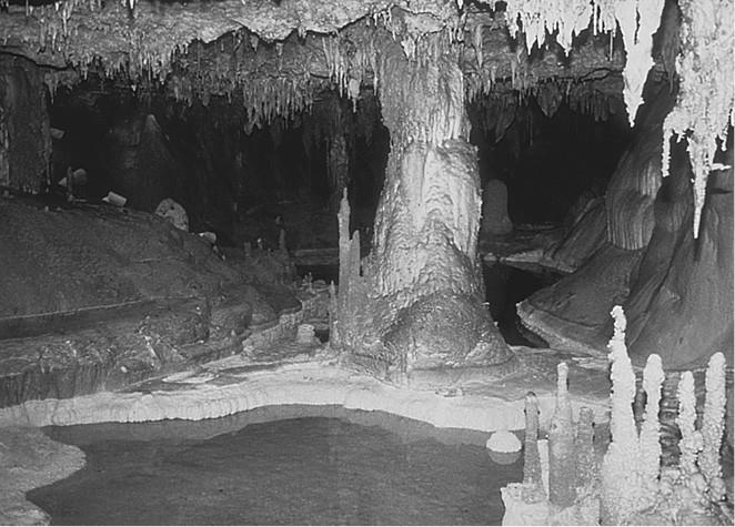 Иллюстрация к книге — 100 великих загадок природы [i_004.jpg]