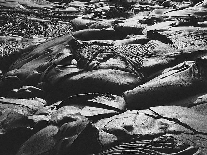 Иллюстрация к книге — 100 великих загадок природы [i_005.jpg]