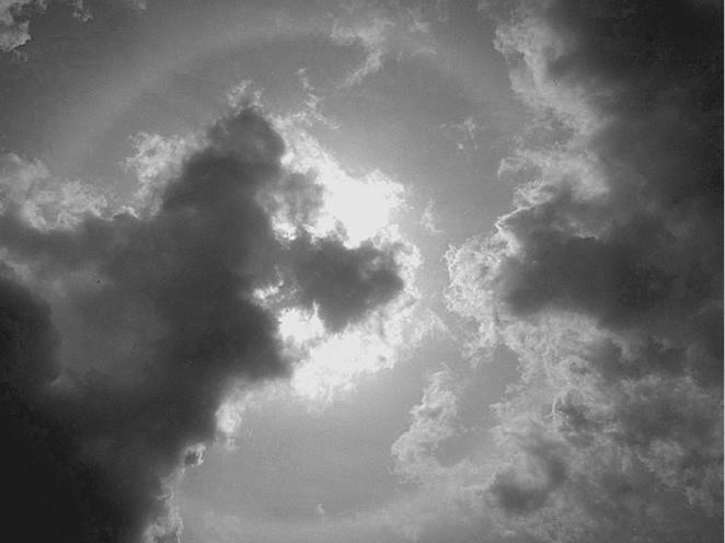 Иллюстрация к книге — 100 великих загадок природы [i_009.jpg]