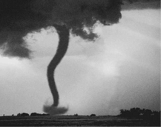 Иллюстрация к книге — 100 великих загадок природы [i_011.jpg]