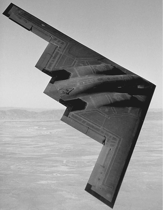 Иллюстрация к книге — 100 великих загадок природы [i_012.jpg]