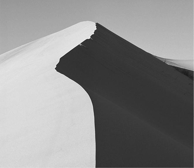 Иллюстрация к книге — 100 великих загадок природы [i_015.jpg]