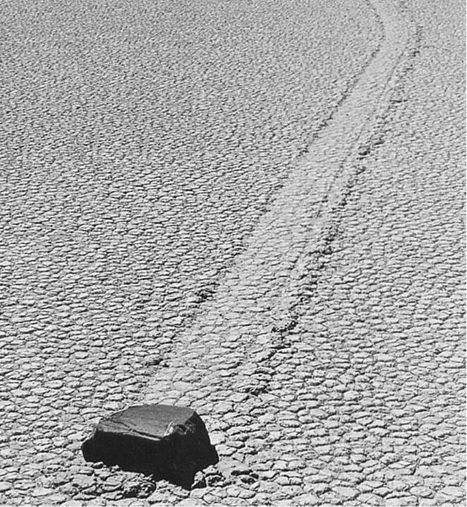 Иллюстрация к книге — 100 великих загадок природы [i_016.jpg]