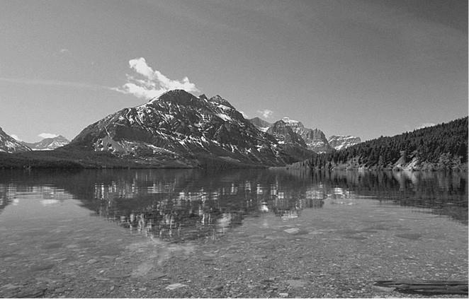 Иллюстрация к книге — 100 великих загадок природы [i_023.jpg]