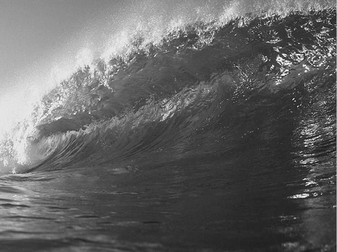 Иллюстрация к книге — 100 великих загадок природы [i_024.jpg]