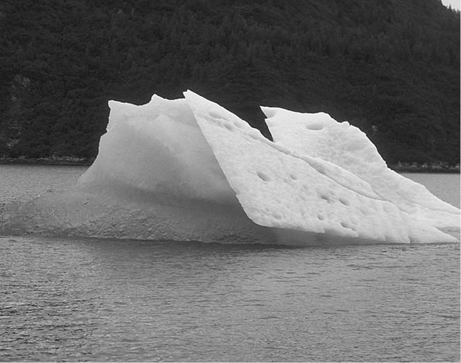 Иллюстрация к книге — 100 великих загадок природы [i_034.jpg]