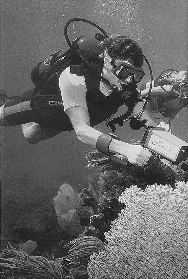 Иллюстрация к книге — 100 великих загадок природы [i_057.jpg]