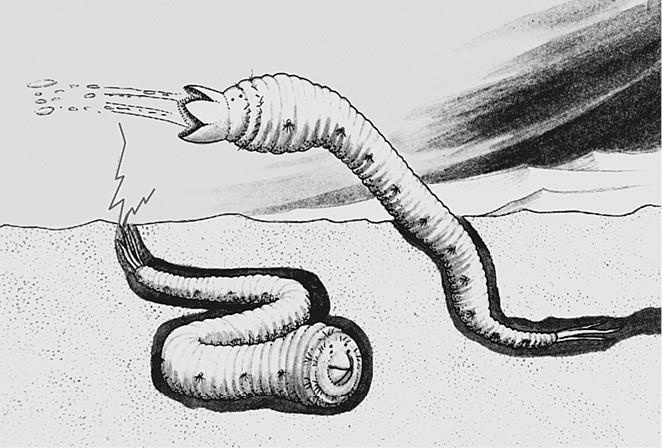 Иллюстрация к книге — 100 великих загадок природы [i_083.jpg]