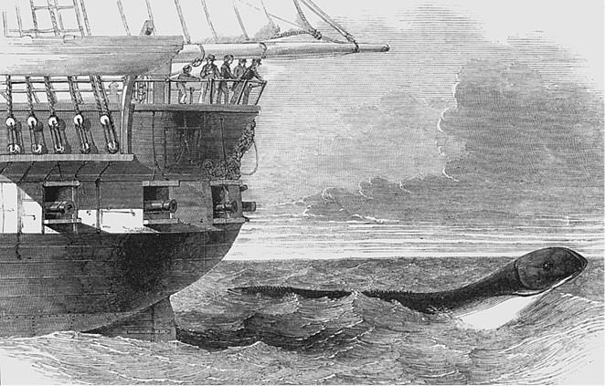 Иллюстрация к книге — 100 великих загадок природы [i_088.jpg]