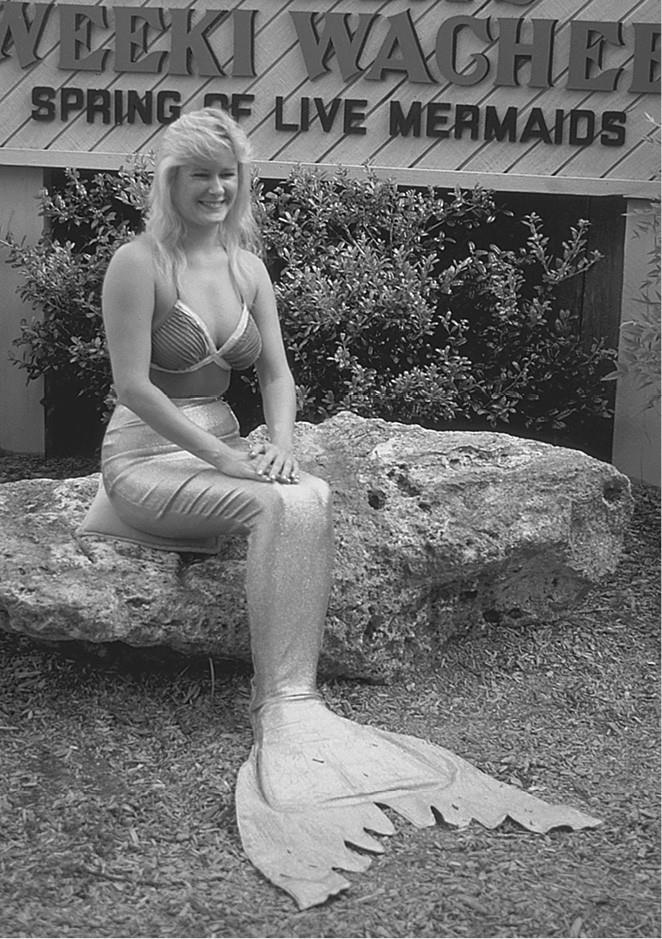 Иллюстрация к книге — 100 великих загадок природы [i_094.jpg]