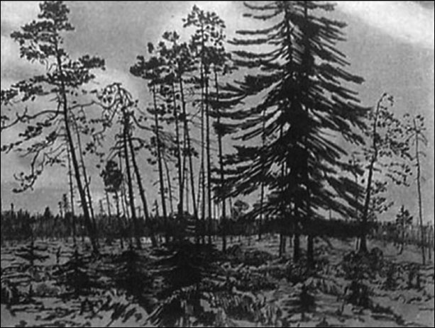 Иллюстрация к книге — Русская Финляндия [i_012.jpg]