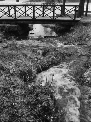 Иллюстрация к книге — Русская Финляндия [i_041.jpg]