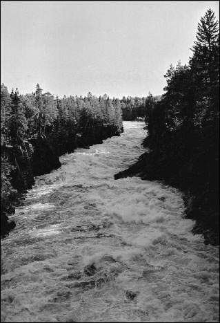 Иллюстрация к книге — Русская Финляндия [i_060.jpg]