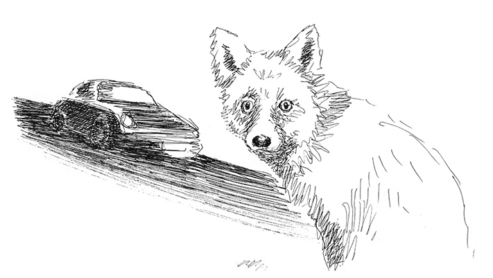 Иллюстрация к книге — Странные люди [i_007.jpg]