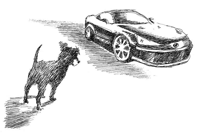 Иллюстрация к книге — Странные люди [i_011.jpg]