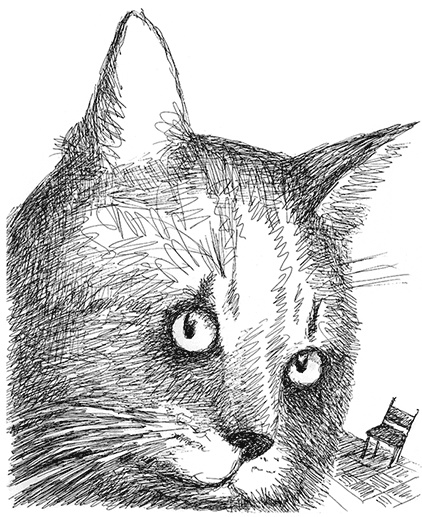 Иллюстрация к книге — Странные люди [i_022.jpg]