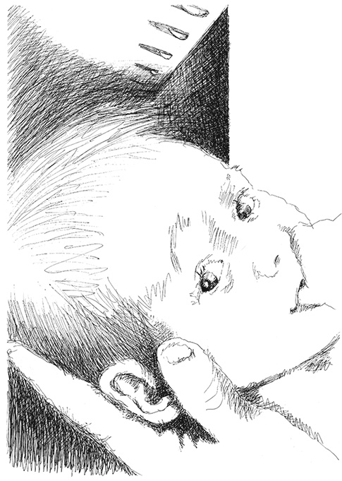 Иллюстрация к книге — Странные люди [i_028.jpg]