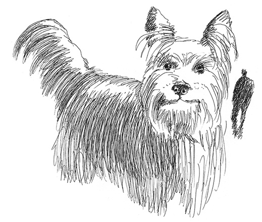 Иллюстрация к книге — Странные люди [i_030.jpg]