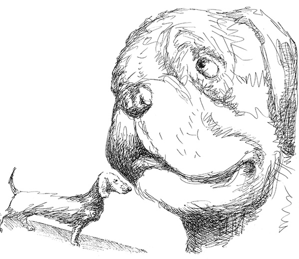 Иллюстрация к книге — Странные люди [i_032.jpg]