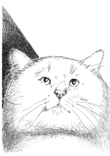 Иллюстрация к книге — Странные люди [i_033.jpg]