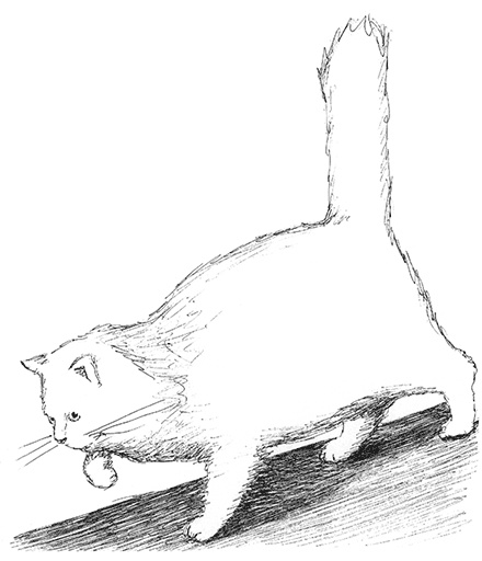 Иллюстрация к книге — Странные люди [i_034.jpg]