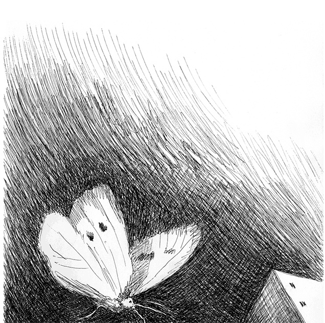 Иллюстрация к книге — Странные люди [i_040.jpg]