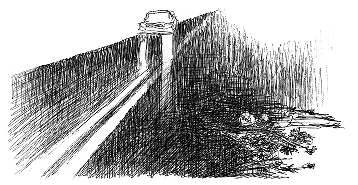 Иллюстрация к книге — Странные люди [i_043.jpg]