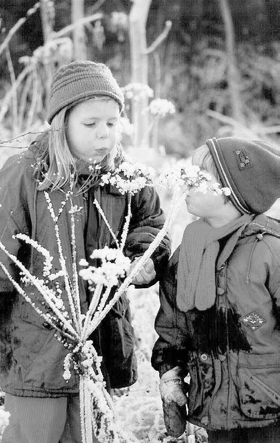 Иллюстрация к книге — Компетентный малыш [i_016.jpg]