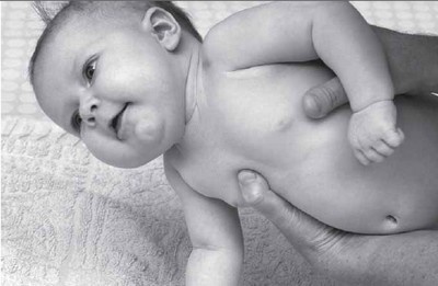 Иллюстрация к книге — PEKiP. Игра и движение. Более 100 развивающих игр для детей первого года жизни [i_011.jpg]