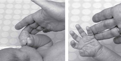 Иллюстрация к книге — PEKiP. Игра и движение. Более 100 развивающих игр для детей первого года жизни [i_024.jpg]