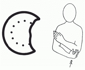 Иллюстрация к книге — Игры и занятия с особым ребенком. Руководство для родителей [i_030.jpg]