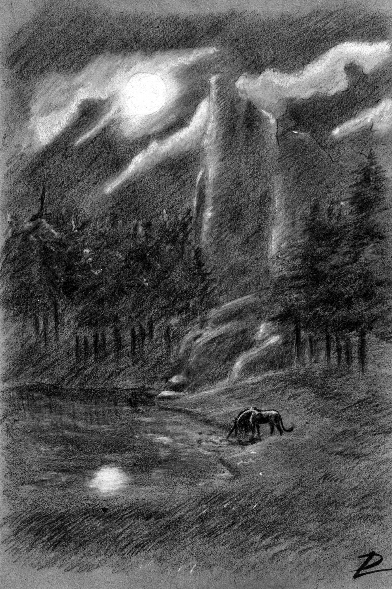 Иллюстрация к книге — Белая ворона [_1.jpg]