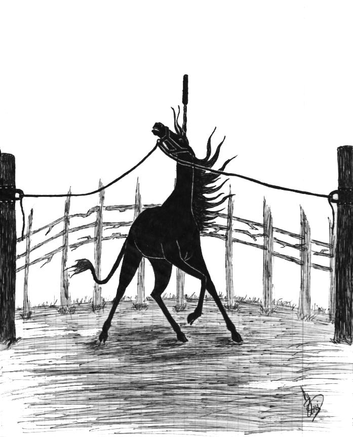 Иллюстрация к книге — Белая ворона [_5.jpg]