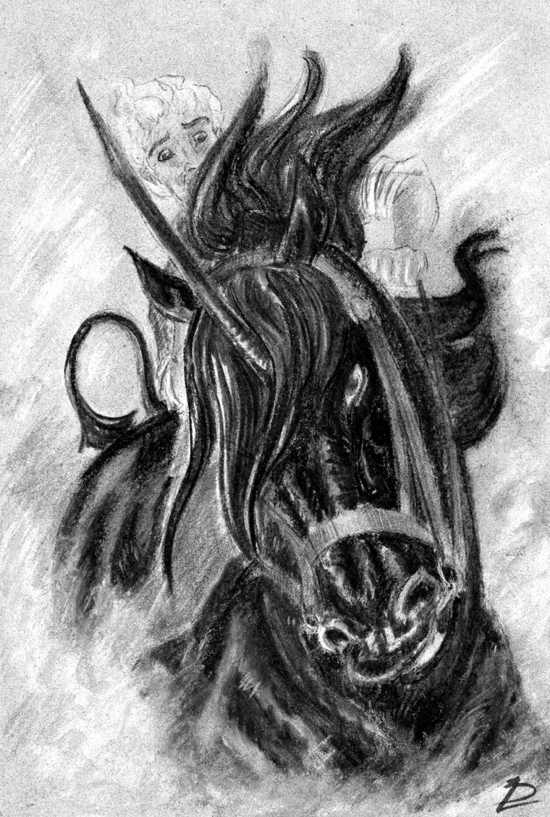 Иллюстрация к книге — Белая ворона [_6.jpg]