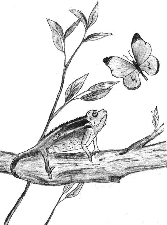 Иллюстрация к книге — Из гусеницы в бабочку. Психологические сказки, притчи, метафоры в индивидуальной и групповой работе [_017_2.jpg]