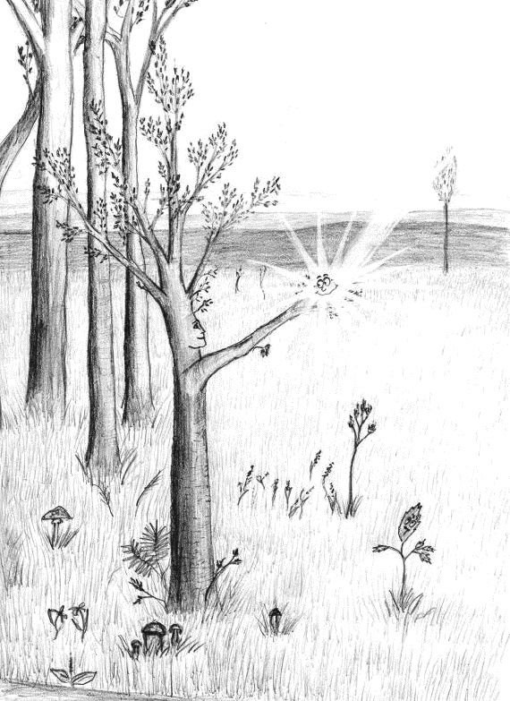 Иллюстрация к книге — Из гусеницы в бабочку. Психологические сказки, притчи, метафоры в индивидуальной и групповой работе [_041_2.jpg]