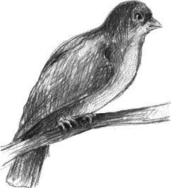 Иллюстрация к книге — Школьная тревожность. Причины, следствия и профилактика [_094.jpg]