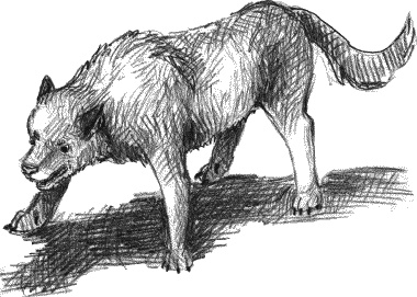 Иллюстрация к книге — Школьная тревожность. Причины, следствия и профилактика [_094_2.jpg]