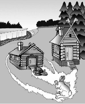 Иллюстрация к книге — Сказки о самой душевной науке [i_010.jpg]