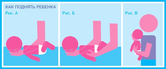 Иллюстрация к книге — Младенец. Руководство пользователя: Инструкция по эксплуатации, рекомендации по устранению неисправностей, советы по первому году технического обслуживания [i_011.jpg]