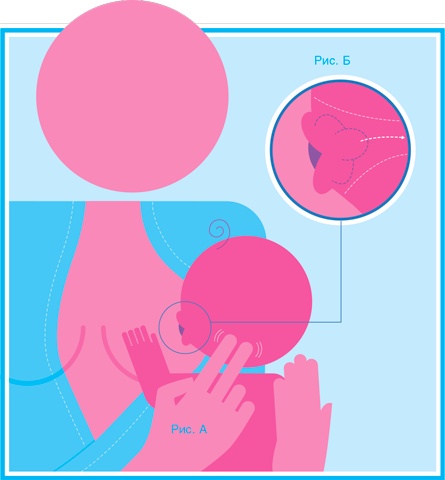 Иллюстрация к книге — Младенец. Руководство пользователя: Инструкция по эксплуатации, рекомендации по устранению неисправностей, советы по первому году технического обслуживания [i_028.jpg]