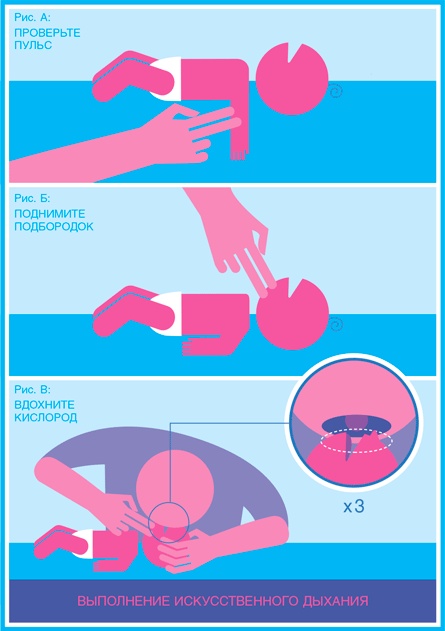 Иллюстрация к книге — Младенец. Руководство пользователя: Инструкция по эксплуатации, рекомендации по устранению неисправностей, советы по первому году технического обслуживания [i_056.jpg]