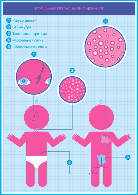 Иллюстрация к книге — Младенец. Руководство пользователя: Инструкция по эксплуатации, рекомендации по устранению неисправностей, советы по первому году технического обслуживания [i_058.jpg]