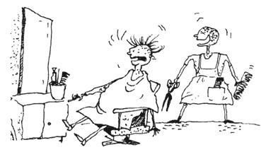 Иллюстрация к книге — Дела адвоката Монзикова [i_020.jpg]