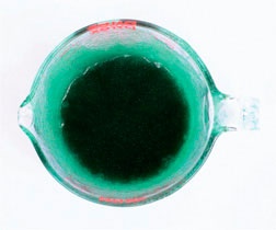 Иллюстрация к книге — Дома весело! Развивающие игры для самых маленьких [i_032.jpg]