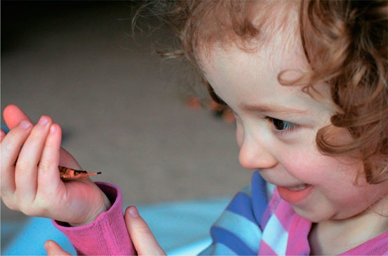 Иллюстрация к книге — Дома весело! Развивающие игры для самых маленьких [i_111.jpg]