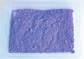 Иллюстрация к книге — Дома весело! Развивающие игры для самых маленьких [i_117.jpg]