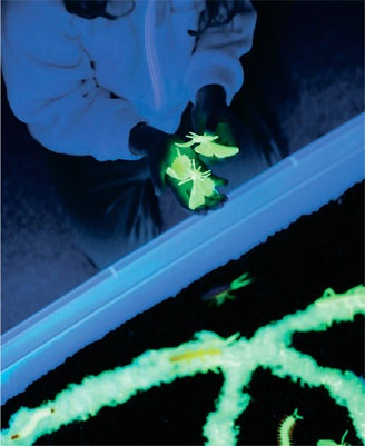 Иллюстрация к книге — Дома весело! Развивающие игры для самых маленьких [i_148.jpg]