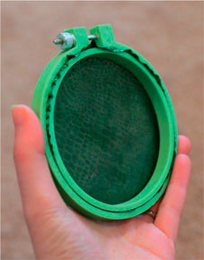 Иллюстрация к книге — Дома весело! Развивающие игры для самых маленьких [i_255.jpg]